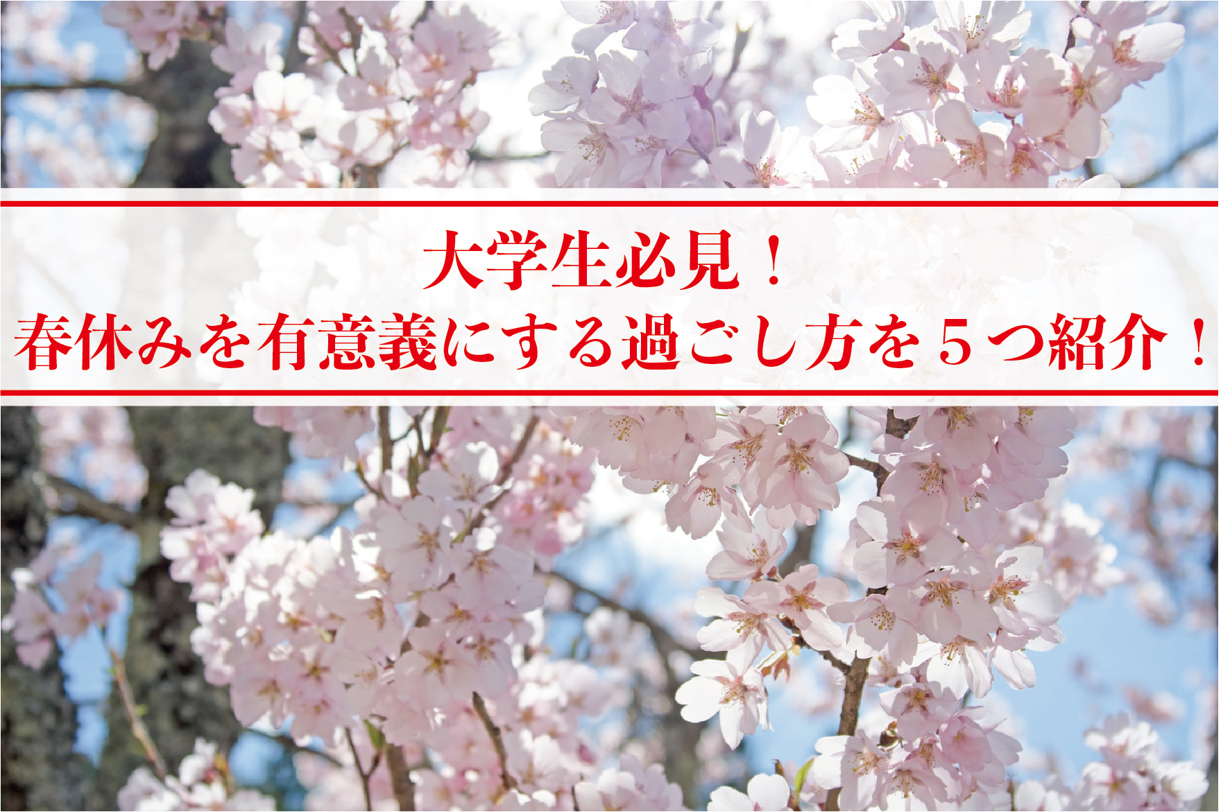 大学生の春休みを有意義にする過ごし方を5つ紹介 Morimachi Blog